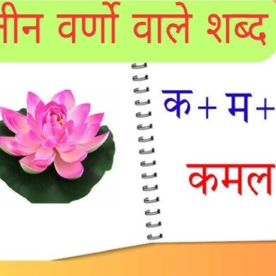 Three Letter Words in Hindi